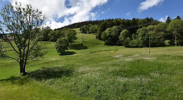 Cottage in Saulxures-sur-Moselotte