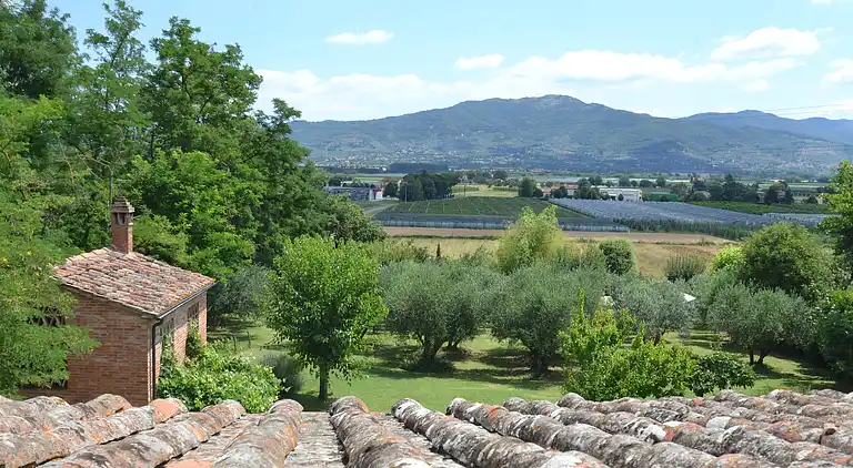 Vakantiehuis in Civitella in Val di Chiana