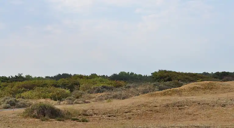 Sommerhus i Zuid-Holland