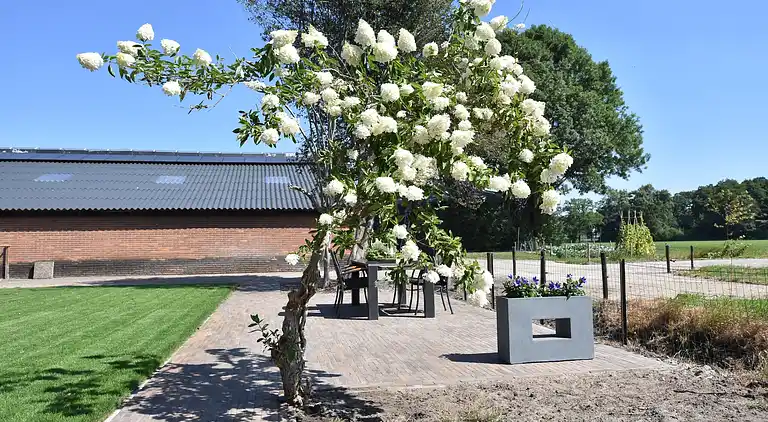 Gårdhus i Schalkhaar