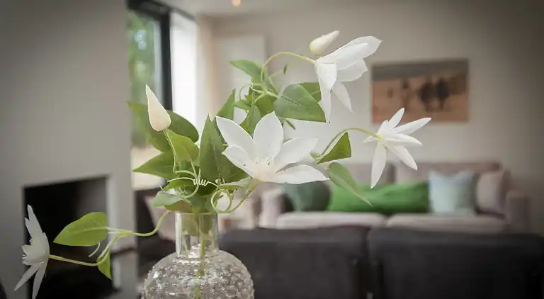 Sommerhus i Egmond aan den Hoef