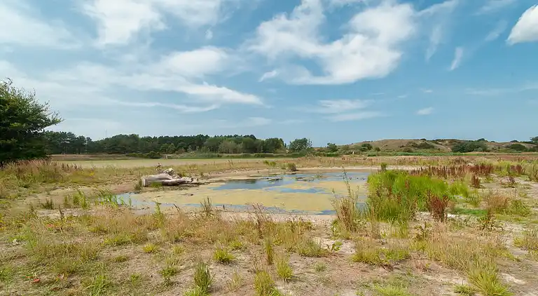 Sommerhus i Egmond aan den Hoef