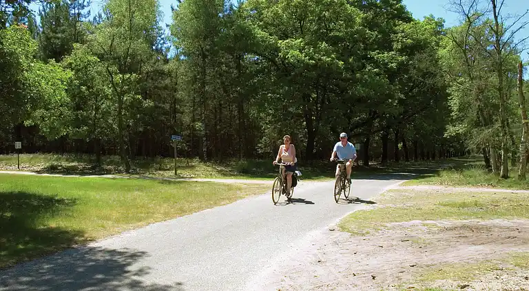 Cottage in Oisterwijk