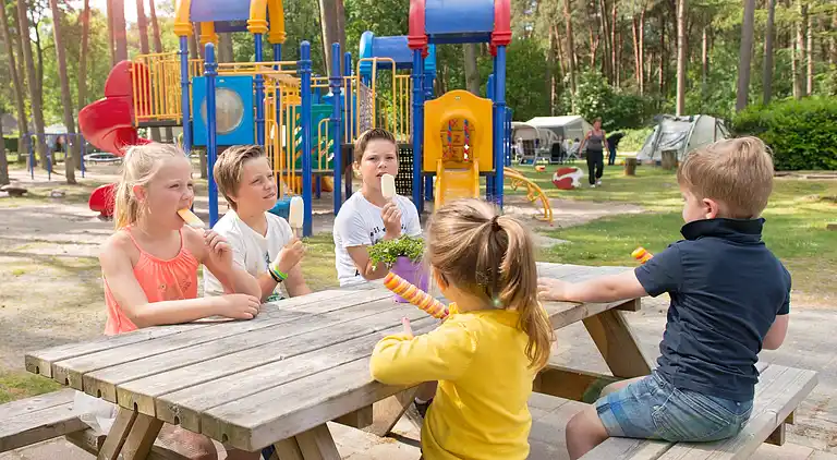 Cottage in Oisterwijk