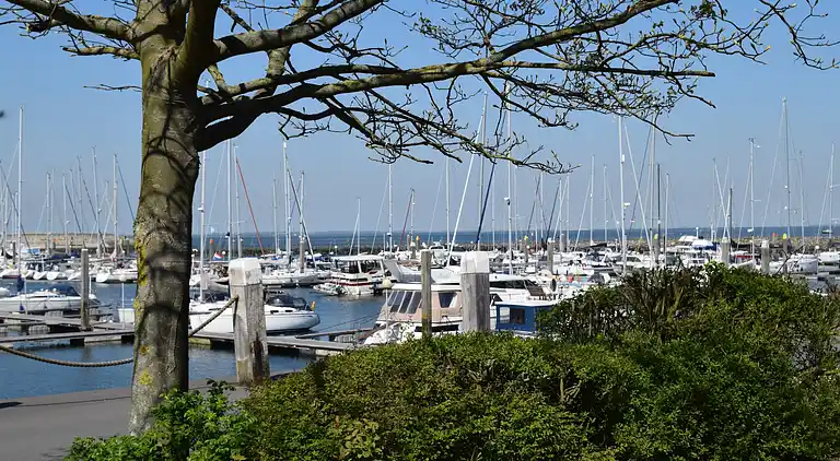 Vakantiehuis in Kamperland