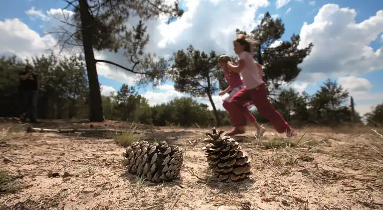 Cottage in Oisterwijk