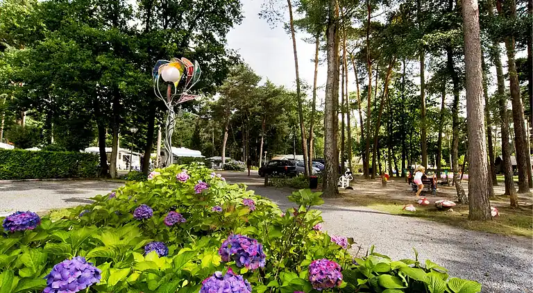 Cottage in Oisterwijk