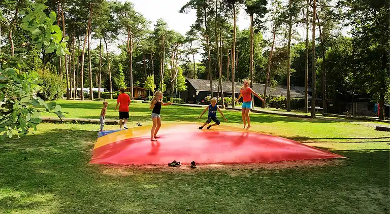 Cottage in Oisterwijk