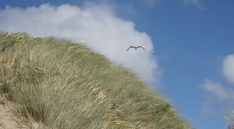 Vakantiehuis in Kamperland