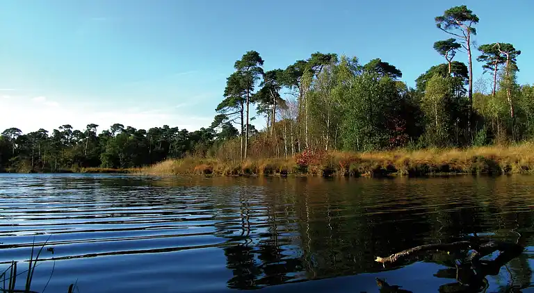 Cottage in Oisterwijk