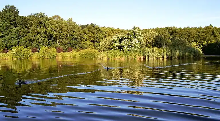 Vakantiehuis in Darłowo