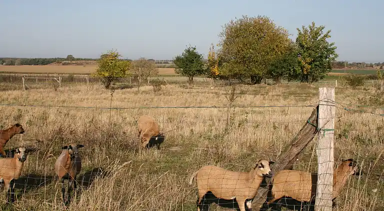 Appartement in Zweedorf