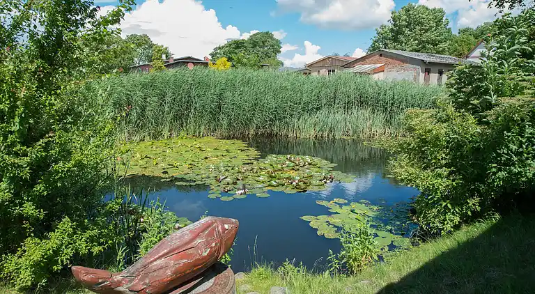 Apartment in Zweedorf