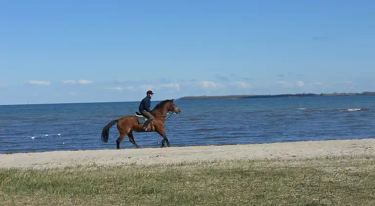 Sommerhus i Buschmühlen