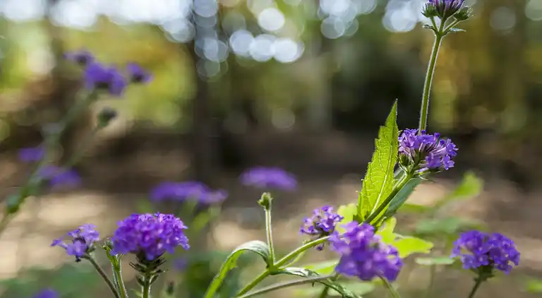 Holiday home in Nunspeet