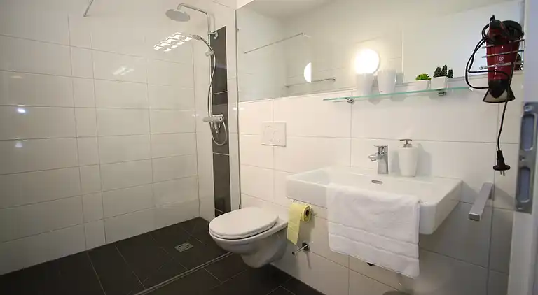 Appartement au Dienten am Hochkönig