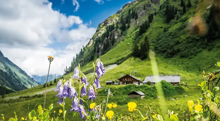 Holiday home in Sankt Anton im Montafon