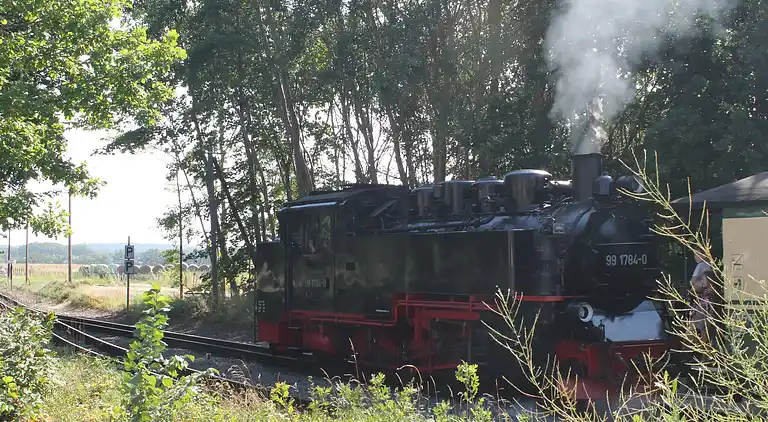 Bungalow in Alt Reddevitz