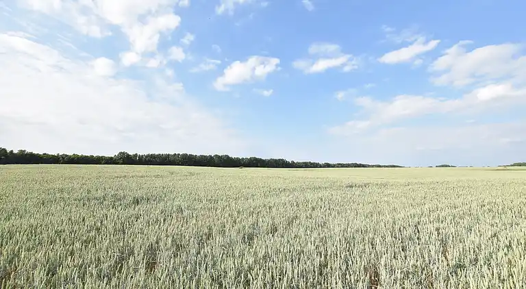 Ferielejlighed i Sternberger Burg
