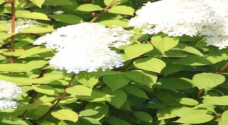 Holiday home in Kröpelin