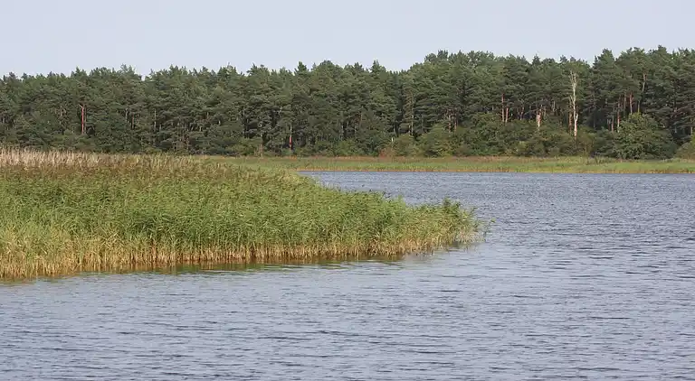 Sommerhus i Pruchten