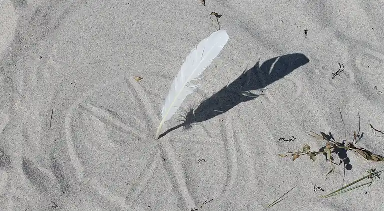 Apartment in Kühlungsborn