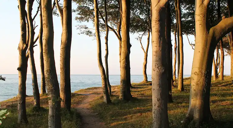 Apartment in Nienhagen