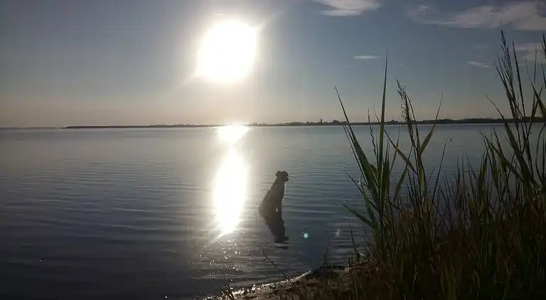 Apartment in Boiensdorf