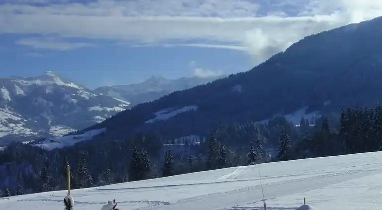 Ferielejlighed i Penningberg