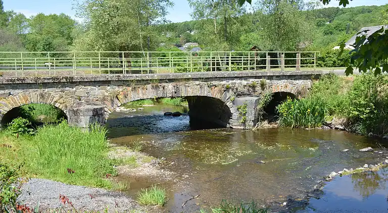 Vakantiehuis in Gedinne