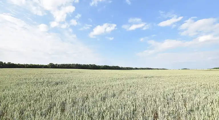 Ferielejlighed i Schwaan