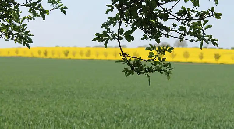 Ferielejlighed i Schwaan