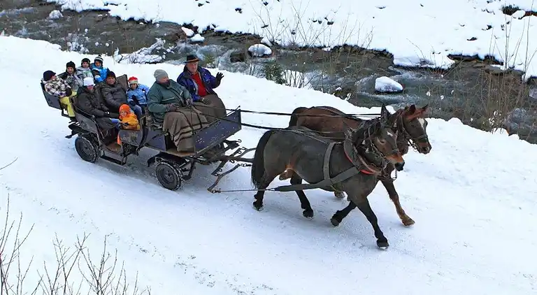 Apartment in Silbertal