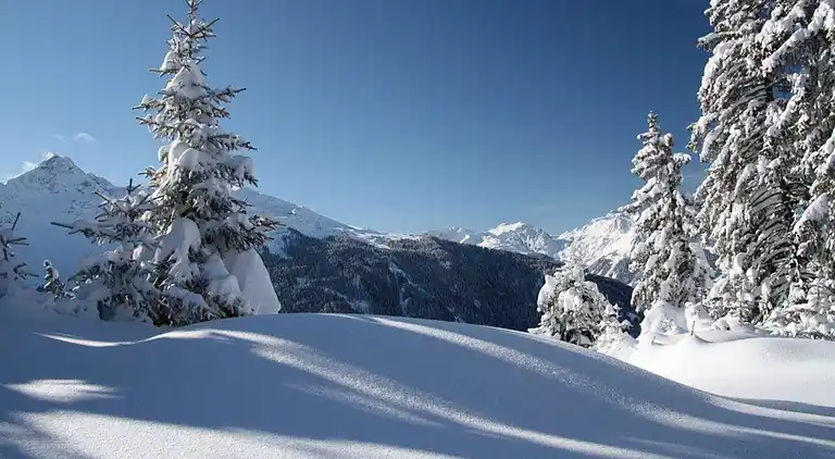 Apartment in Silbertal