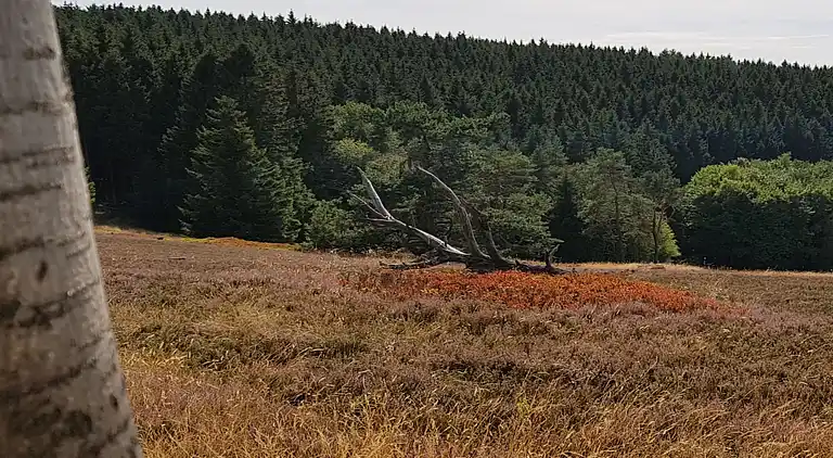 Holiday home in Europe