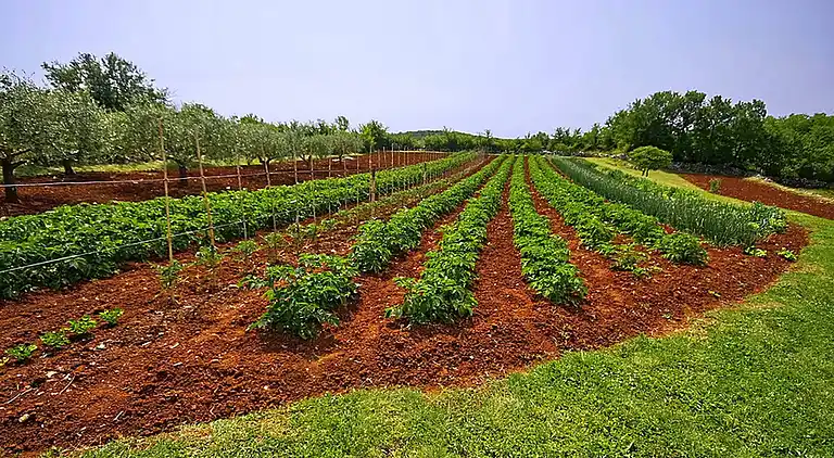 Sommerhus i Smolići