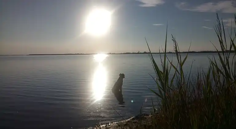 Bungalow in Klein Strömkendorf