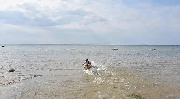 Bungalow in Klein Strömkendorf