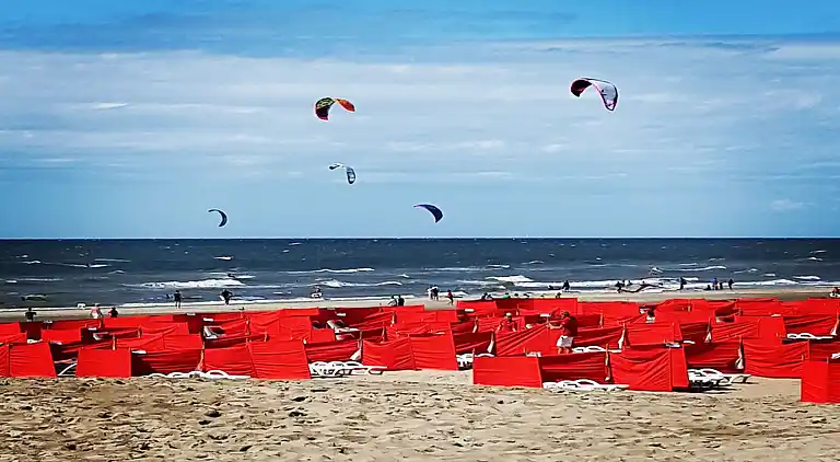 Sommerhus i Zuid-Holland