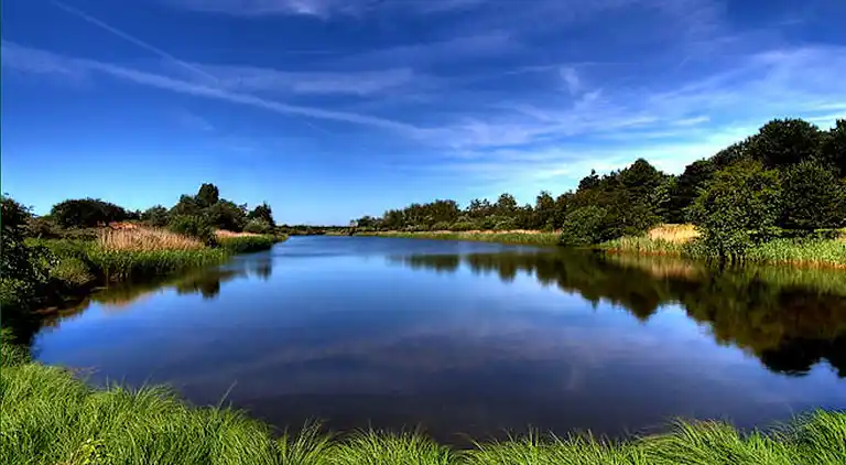 Sommerhus i Zuid-Holland