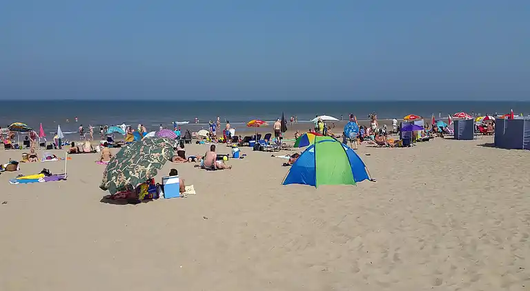 Sommerhus i Zuid-Holland