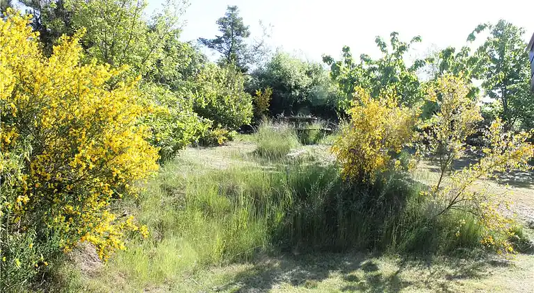 Sommerhus ved Øer Strand