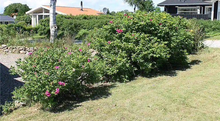 Sommerhus ved Følle Strand