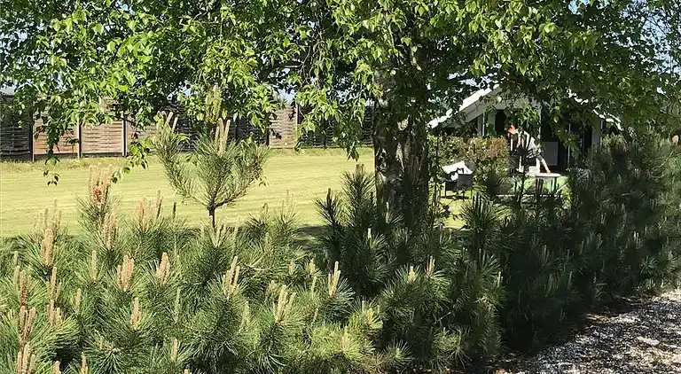 Sommerhus i Ebeltoft