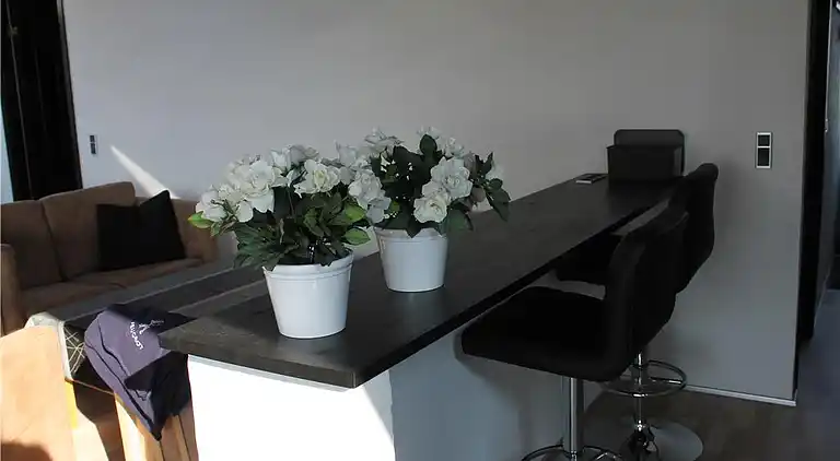 Sommerhus ved Følle Strand