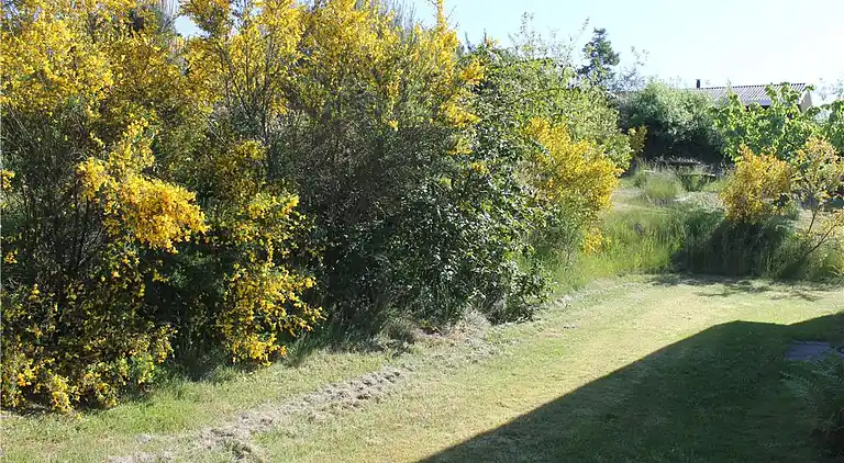 Sommerhus ved Øer Strand