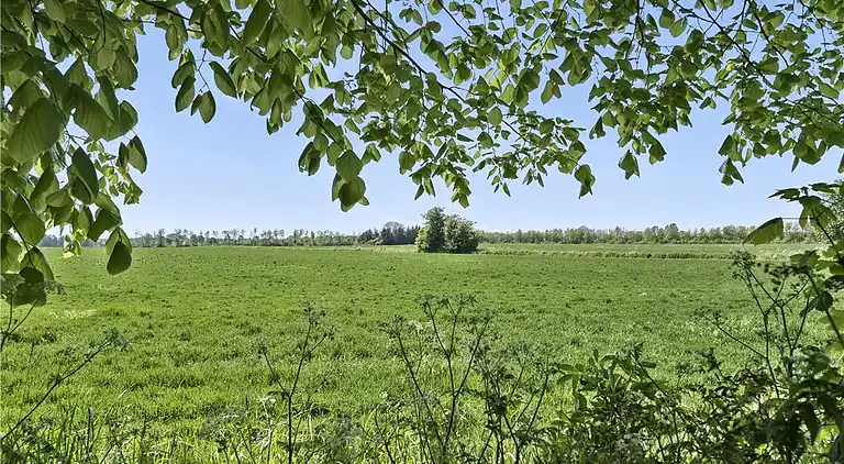 Holiday home in Store Heddinge