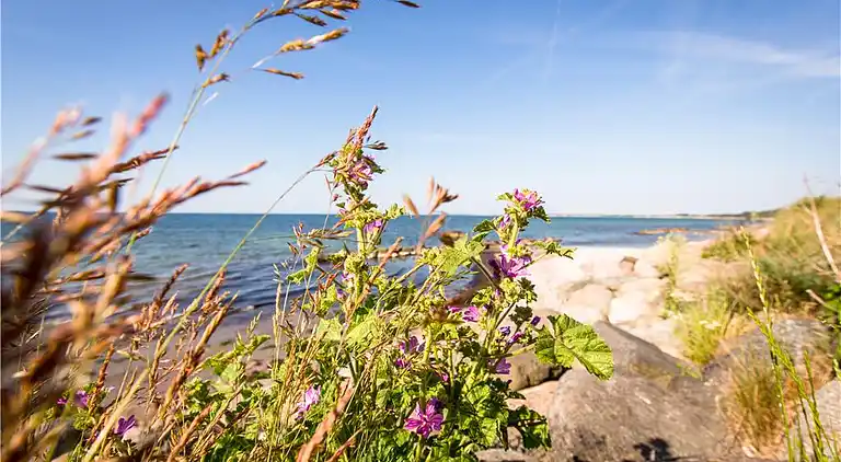 Casa vacanze in Stege