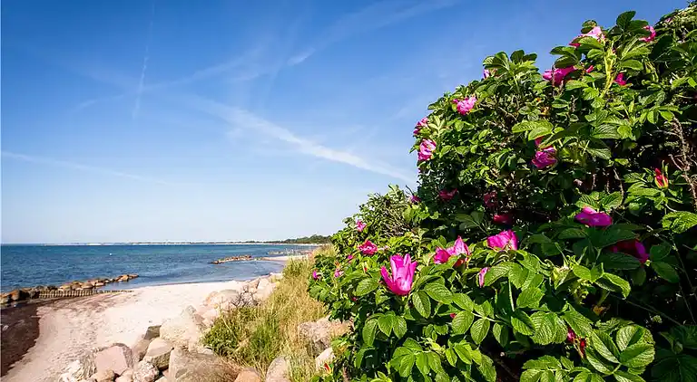 Casa vacanze in Stege