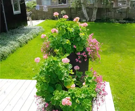 Sommerhus ved Saksild Strand